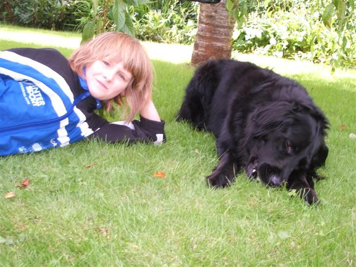 Blanding af racer TIKI R.I.P - Vi nyder livet billede 6