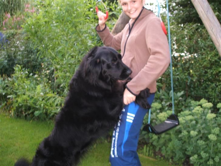 Blanding af racer TIKI R.I.P - Danse danse..... billede 8