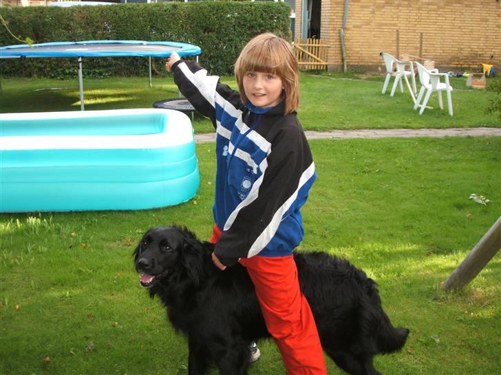 Blanding af racer TIKI R.I.P - jeg er en glad lille cowboy=o) billede 9