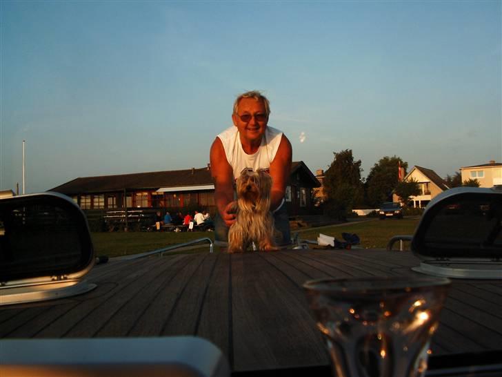 Yorkshire terrier Mia - Mia og far på båden billede 14