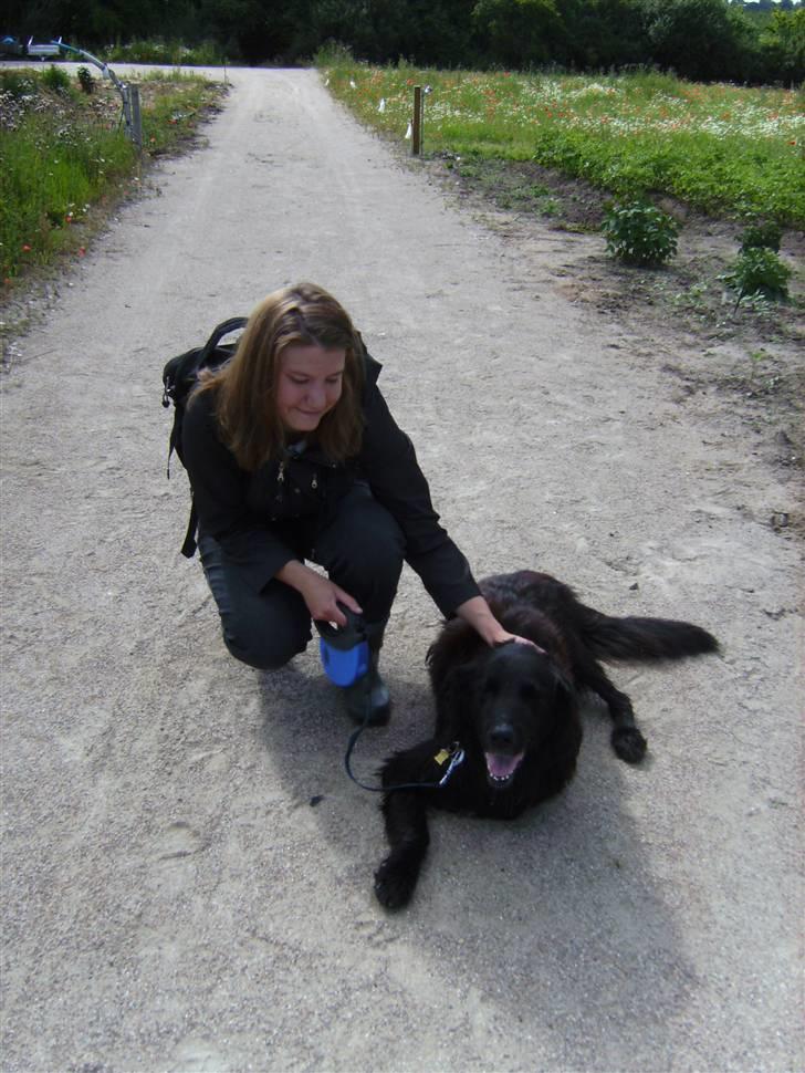 Blanding af racer Basse (1994-2007)  - Mor og Basse billede 16