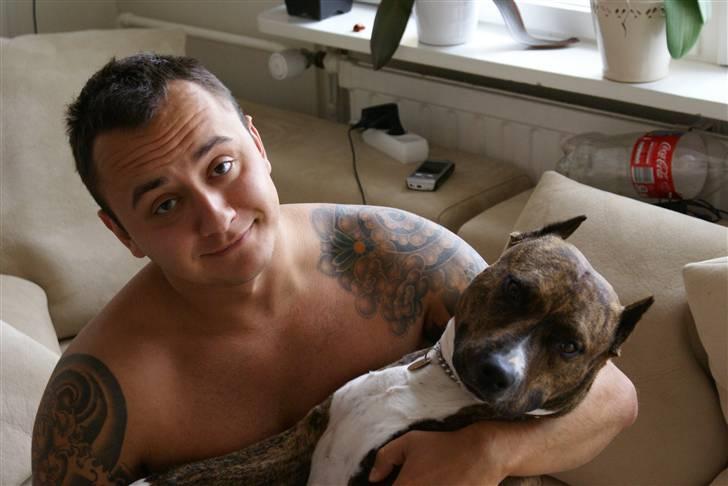 Amerikansk staffordshire terrier Kirah - Kirah hygger sig med patryk billede 2