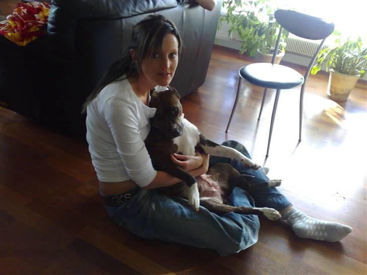 Amerikansk staffordshire terrier Kirah - Kirah og mig der hygger oz hos svigerbasserne foran pejsen.. billede 3