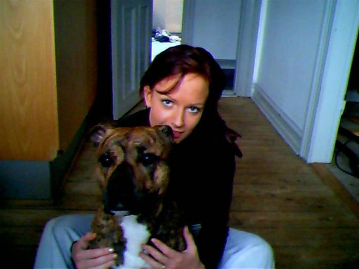 Blanding af racer Diego - Mors dreng =) billede 2