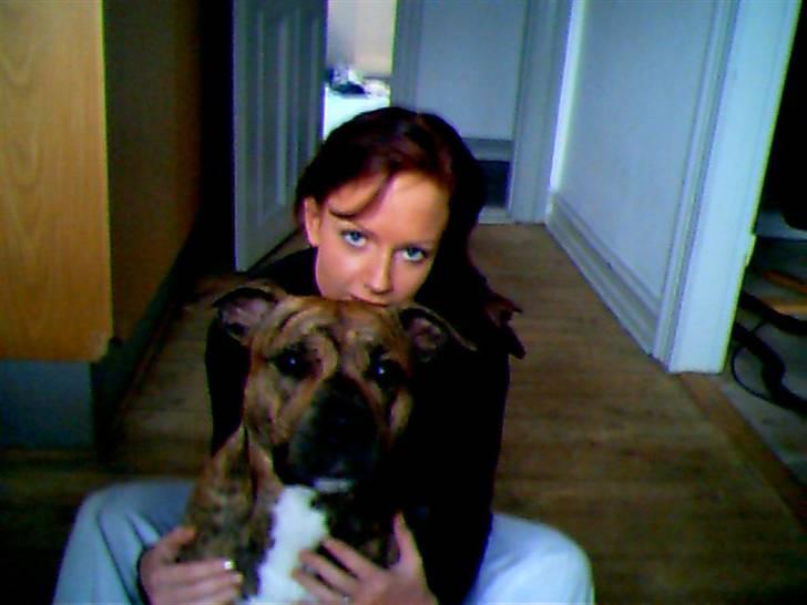 Blanding af racer Diego - Mors lille dreng =) billede 3