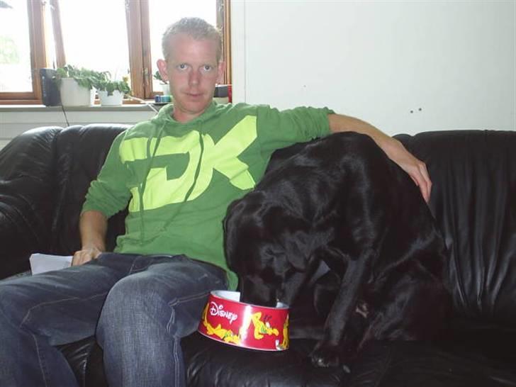 Blanding af racer mille billede 17