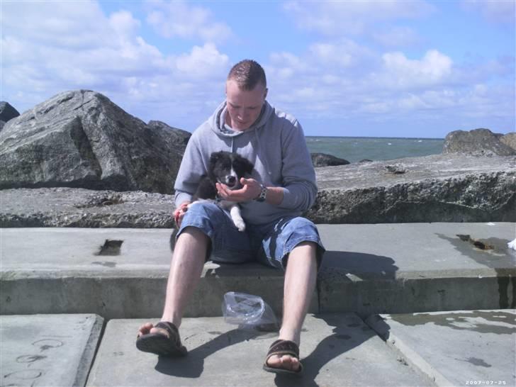 Blanding af racer Tika - Hygger med far. billede 3