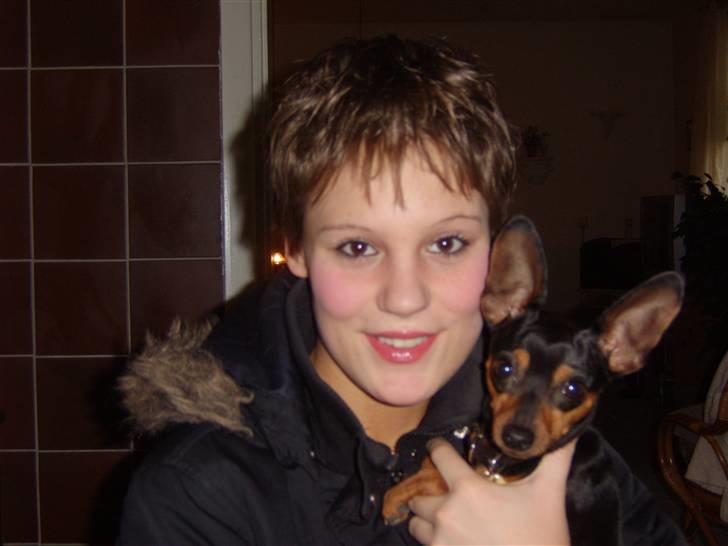 Prazsky krysarik Speedy - er jeg ikke bare yndig?? Altså mig Speedy? billede 4