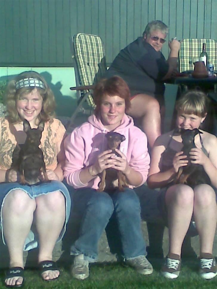 Prazsky krysarik Speedy - Ja Ja jeg må jo passe på hende, så det er bare ørerne tilbage billede 6