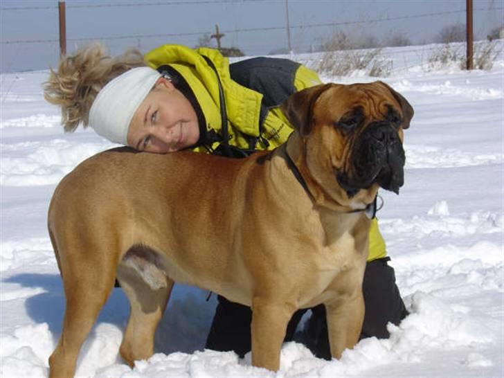 Bullmastiff Zakaa - Mor og mig, januar 2006, i Luxembourg billede 6