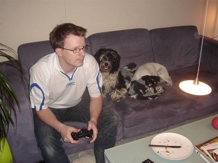 Tibetansk terrier Ömsikka's Astor af Ricko - Drengene hygger sig i sofaen. billede 11