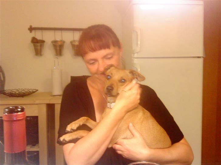 Blanding af racer Fie - Miiin mormor :) billede 8