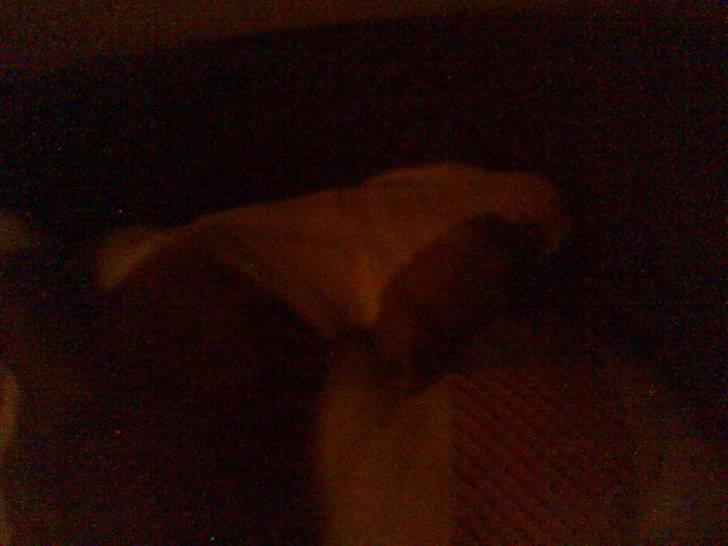 Blanding af racer Baby~R.I.P~ billede 3