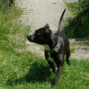 Blanding af racer candy