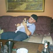 Dansk svensk gaardhund Emil