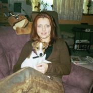 Dansk svensk gaardhund Emil