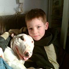 Bullterrier Ester 