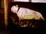 Bullterrier Thor +++R.I.P.+++ - Her er jeg med min ynglingsbeskæftigelse.. sove...