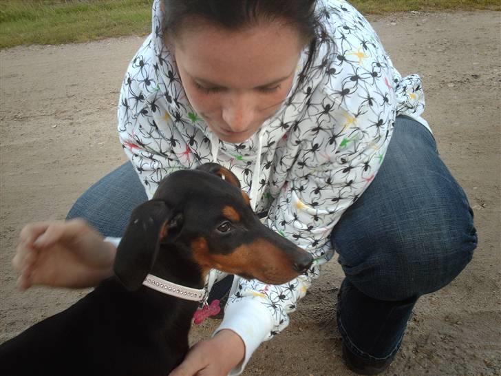 Dobermann Ana-bol billede 6