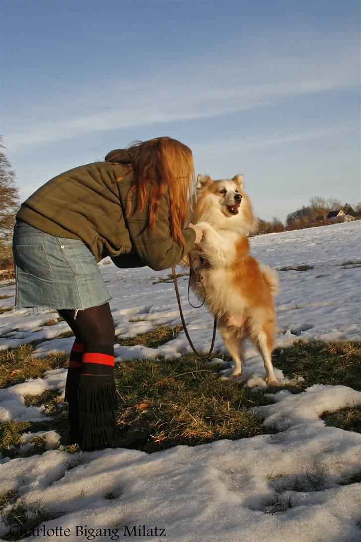 Blanding af racer Fox - Mor kysser mig billede 10