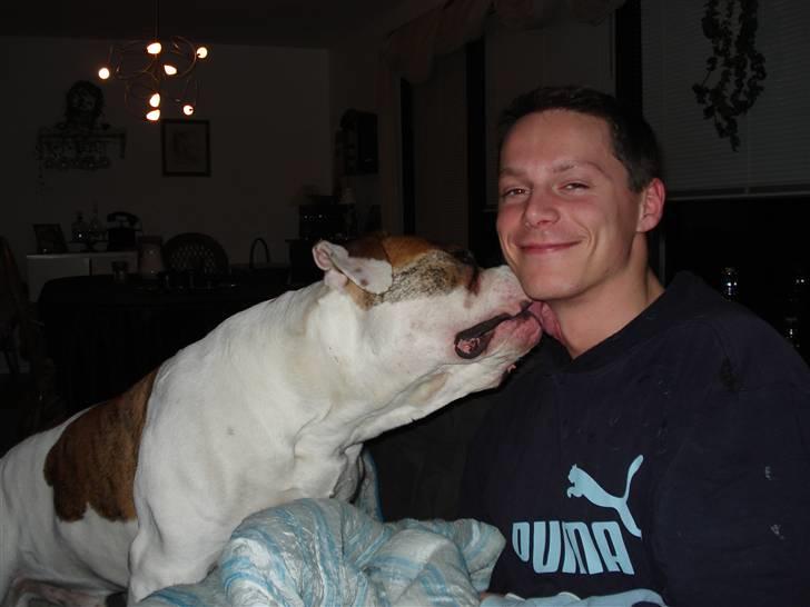 Amerikansk bulldog Ludwig  - Nå ja, det er jo "onkel" Martin.......;O) billede 12