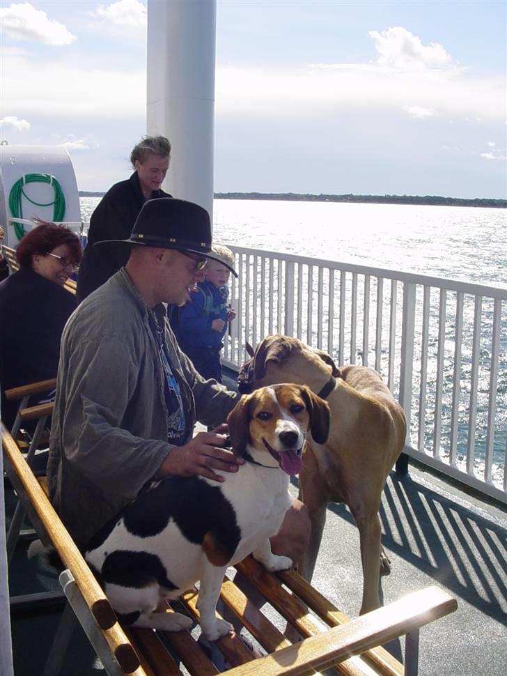 Blanding af racer Freja - hej se mig vi er ude og sejle billede 8