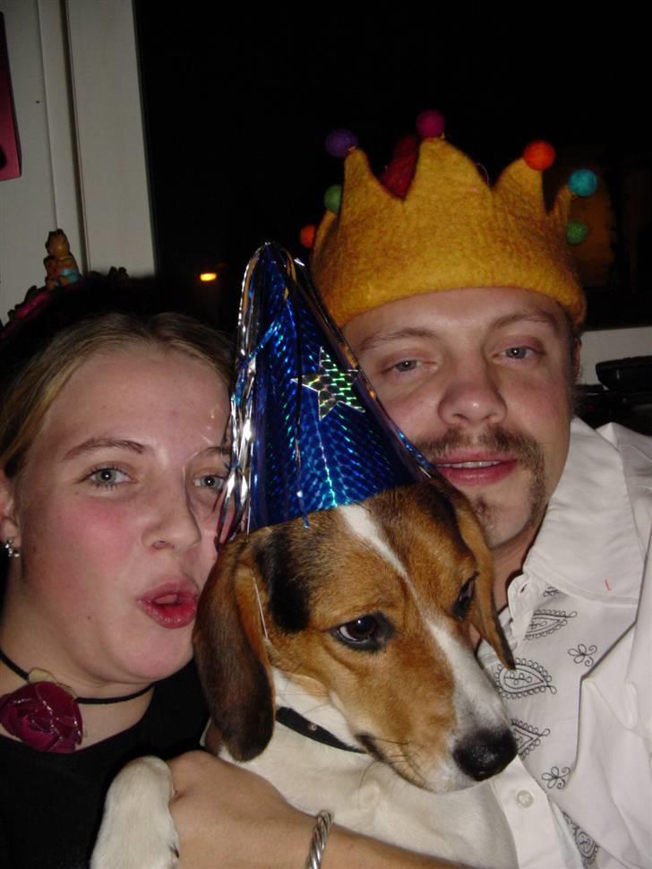 Blanding af racer Freja - godt nyt år billede 11