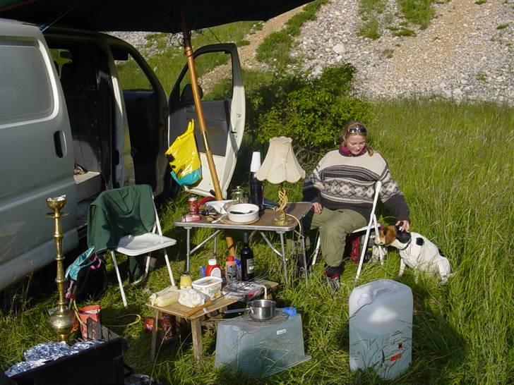 Blanding af racer Freja - vores hygge sted  billede 16