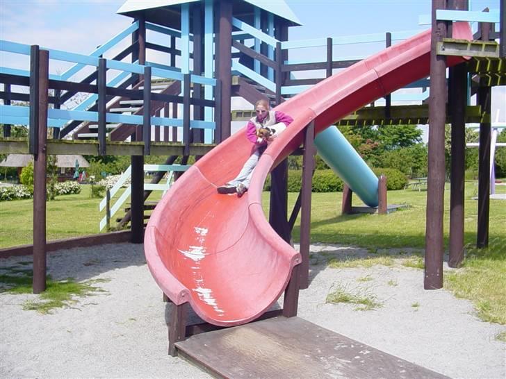 Blanding af racer Freja - det er ikke så sjovt når jeg bliver holdt meget sjover selv af løbe ned af rusebanen billede 17