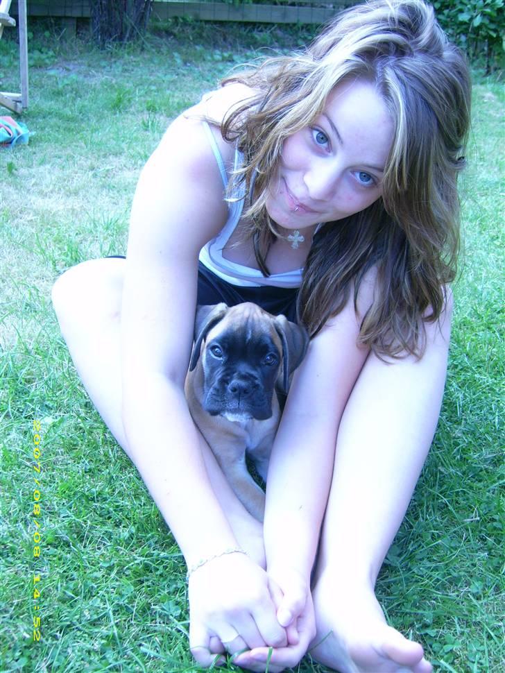 Boxer Kahlua - Det er mig og min ejer, Mette billede 18