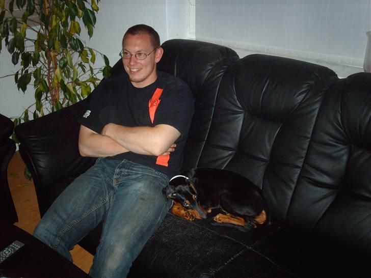 Dobermann Ana-bol - Far gider ikke engang at nusse mig.....øv altså.. billede 11