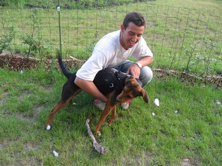 Blanding af racer Miniloo - Leg med far :) billede 4