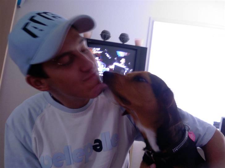 Blanding af racer Miniloo billede 11