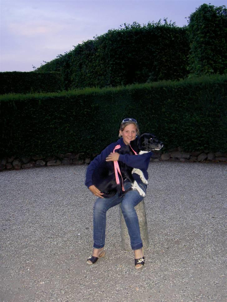 Blanding af racer R.I.P. Molly R.I.P. - 17) mig og Molly på Egeskov. billede 17