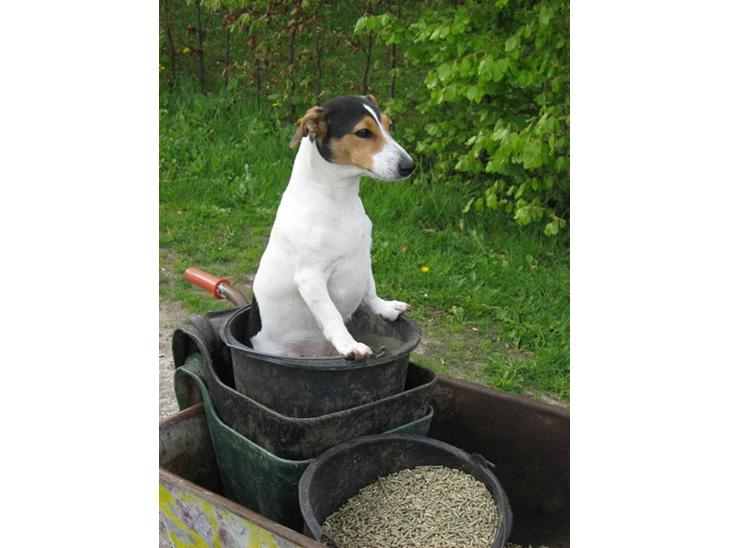 {{currentPhoto.altText}} billede {{currentPhoto.number}}