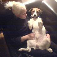 Blanding af racer Pumba