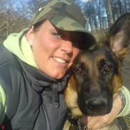 Schæferhund Snesteds James