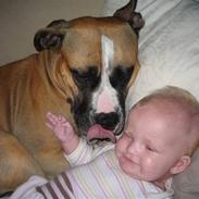 Blanding af racer talis