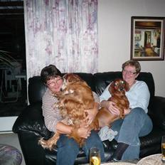 Cocker spaniel Fanny 98610  (Zenta)R.I.P