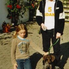 Korthåret hønsehund Zitta (DØD)