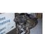 Blanding af racer Pablo - Pablo, 3 mdr