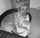 Labrador retriever sonick