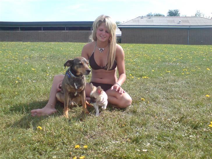 Blanding af racer Vaks - Jeg gider altså ikke have taget billede nu mor billede 5