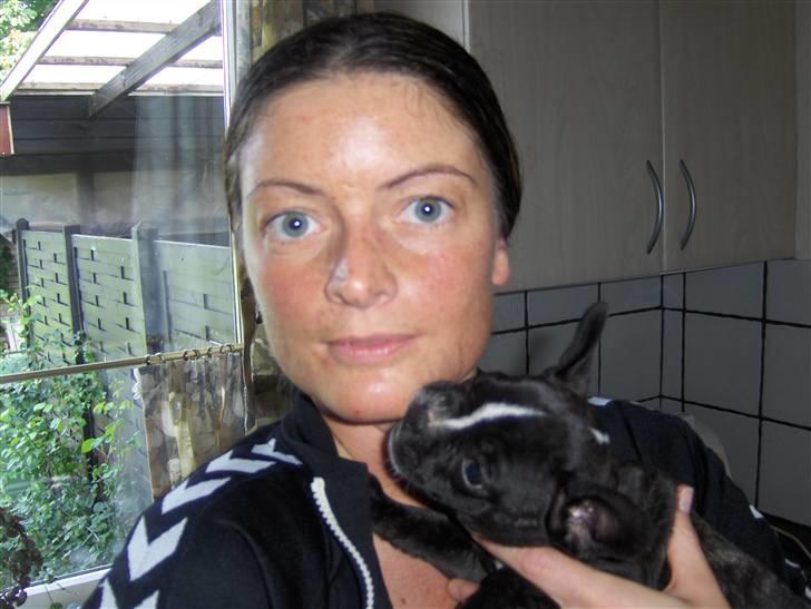 Blanding af racer mille billede 6