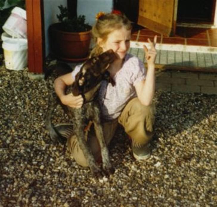 Korthåret hønsehund Zitta (DØD) - Zitta og mig der hjemme<<3 (ta´ jer ikk´ af mit grimme hår) billede 6