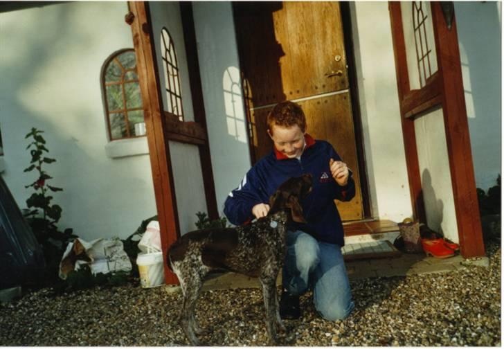 Korthåret hønsehund Zitta (DØD) - Zitta og Thomas:D billede 7