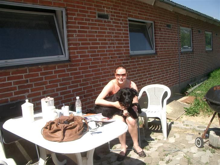 Blanding af racer Charlie - charlie driller sin "moster" billede 15