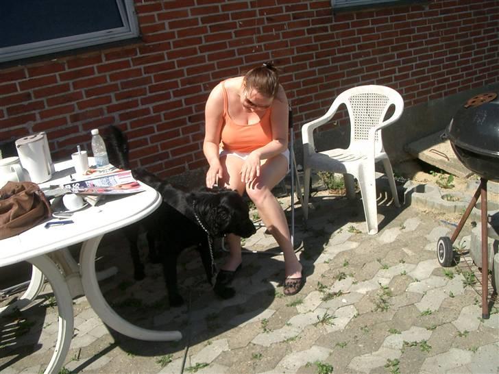 Blanding af racer Charlie - charlie og hans "moster" leger ude på terrassen billede 16