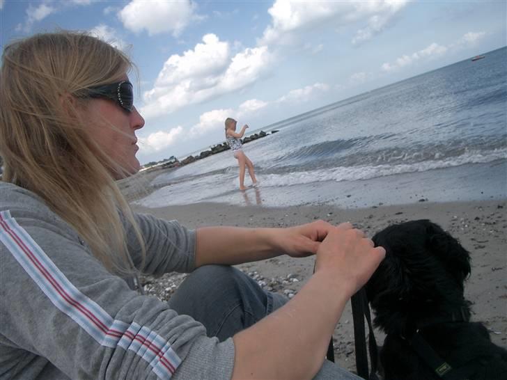 Blanding af racer Charlie - mig og min "mor" på stranden billede 17