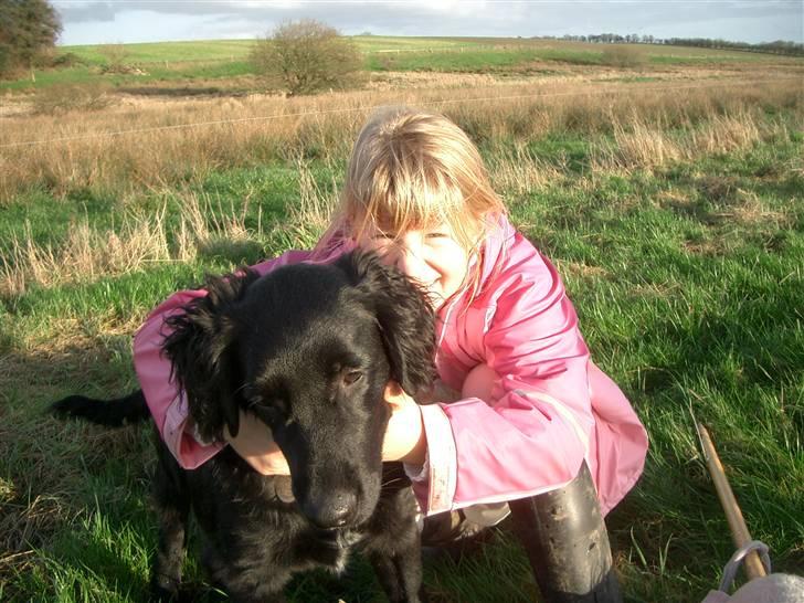 Blanding af racer Charlie - min "mors" datter og jeg billede 19